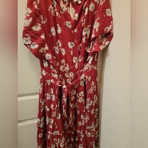 Beautiful plus size dress by Woman Within in 4x